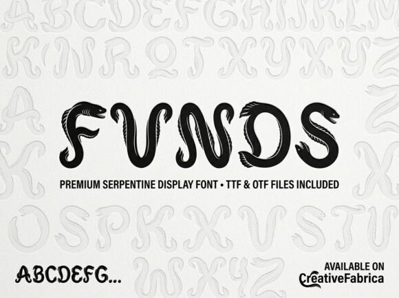 Funds: A Standout Display Font for Small Business Branding