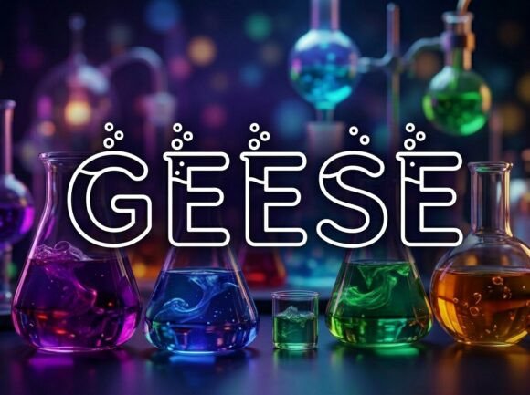 Geese: A Display Typeface That Elevates Digital Branding