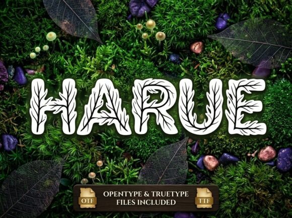 Harue: A Standout Display Typeface for Digital Branding