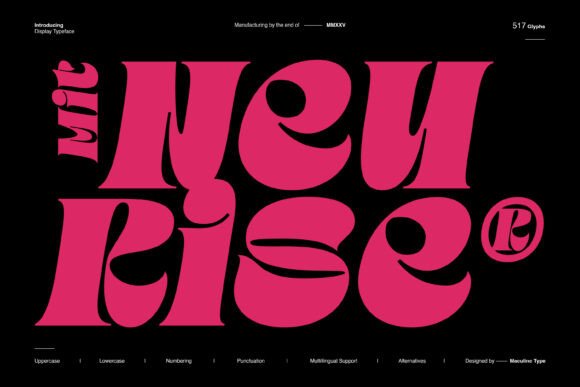 Mit Neurise: A Modern Display Serif That Elevates Your Brand